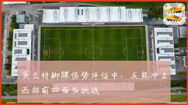 莫兰特脚踝伤势评估中，灰熊冲击西部前四面临挑战