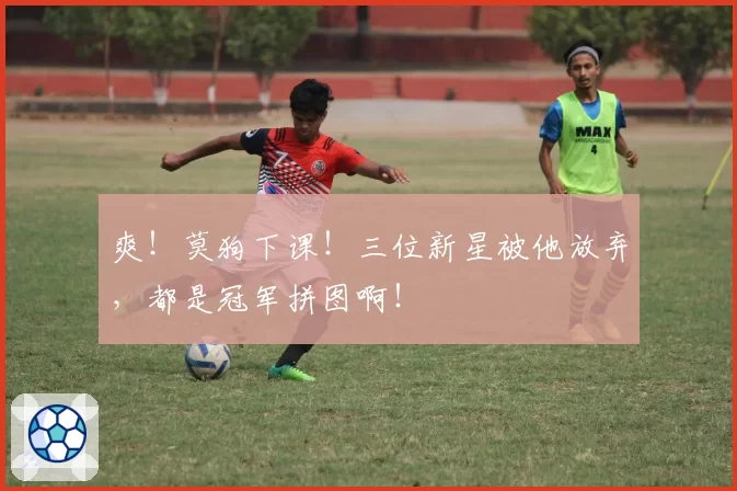 爽！莫狗下课！三位新星被他放弃，都是冠军拼图啊！