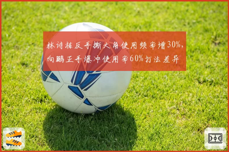 林诗栋反手撕大角使用频率增30%，向鹏正手爆冲使用率60%打法差异
