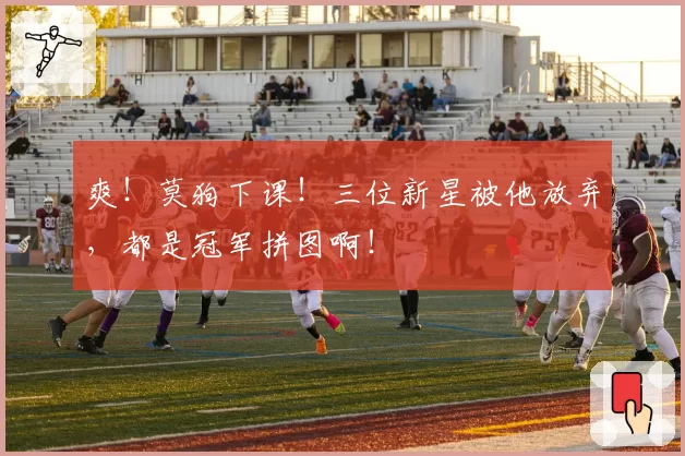 爽！莫狗下课！三位新星被他放弃，都是冠军拼图啊！